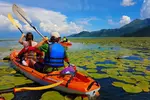 All you need to know about Lake Skadar Kayaking: the best way to get up close and personal with the lake and its inhabitants