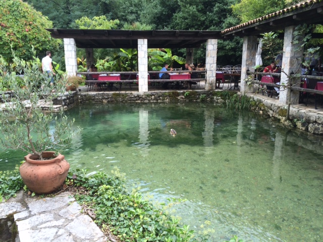 Catovica Mlini, in the Bay of Kotor, is one of Montenegro's best restaurants. Catovica Mlini, in the Bay of Kotor, is one of Montenegro's best restaurants.