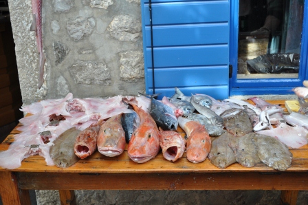 Fresh fish in Montenegro