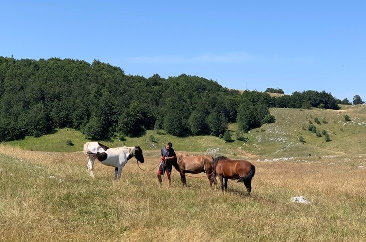 Man and horses in Trsa See some of Montenegro’s most stunning mountain scenery as you drive the Durmitor Ring and find out about the locals’ secret swimming hole.