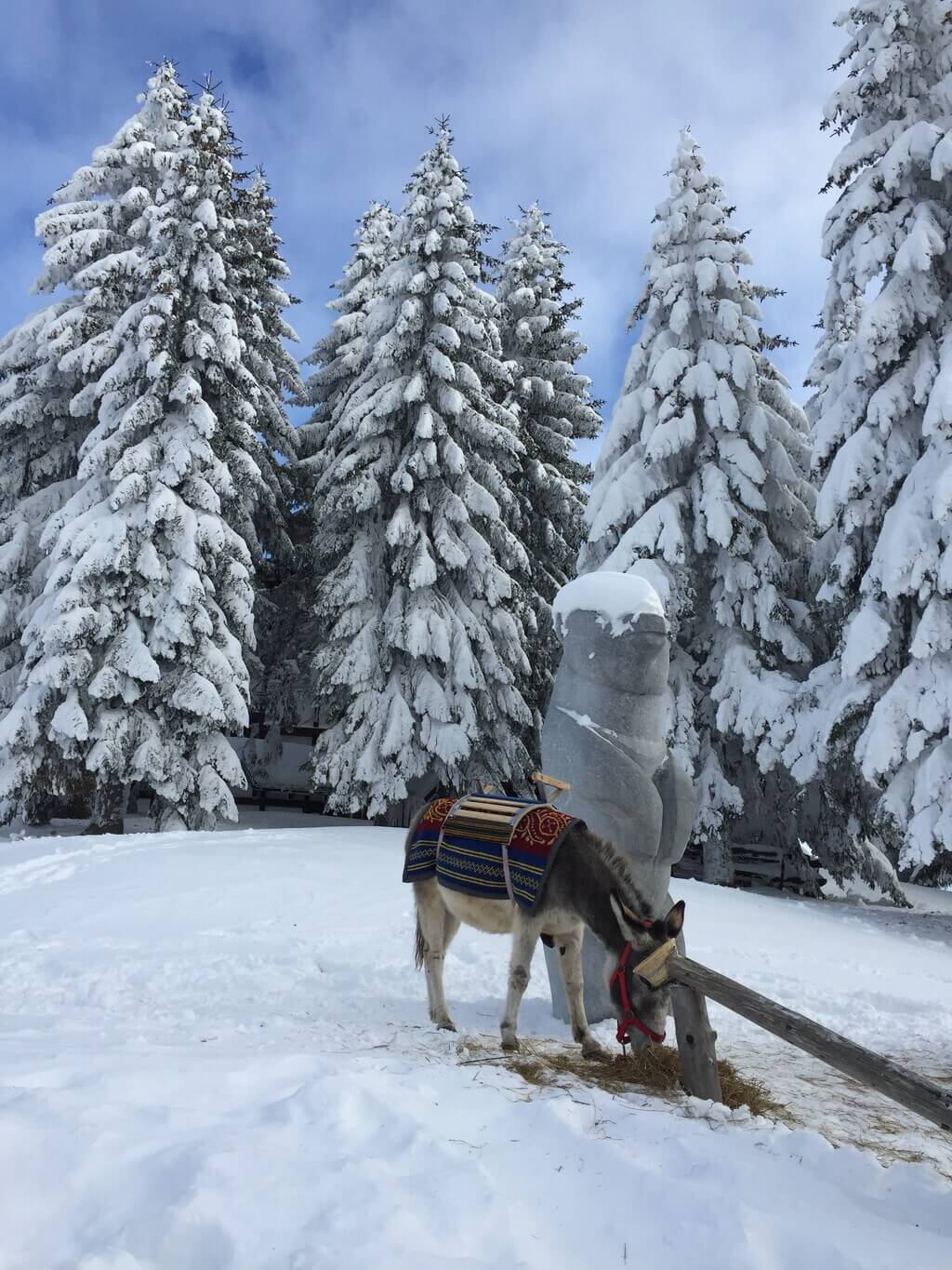 Hidden in the heart of Europe, Kopaonik Ski Resort is a rare hidden gem just waiting to be discovered.