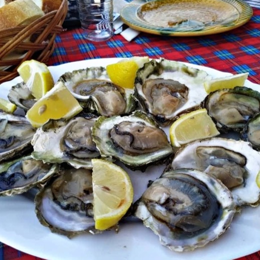 Excursions in Kotor Montenegro: Montenegro Oyster Tour