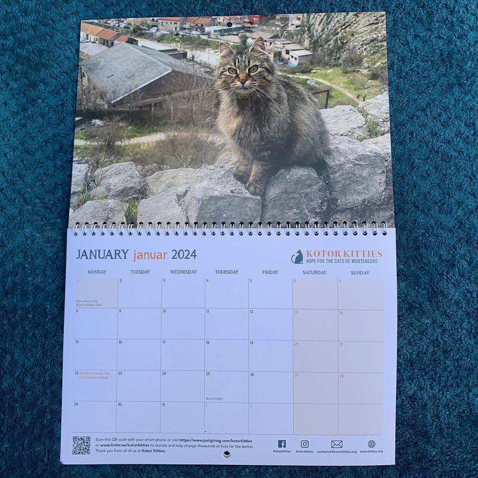 Kotor Kitties 2024 Calendar 2 Kotor Kitties 2024 Calendar 2