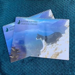 Kotor Kitties Calendar