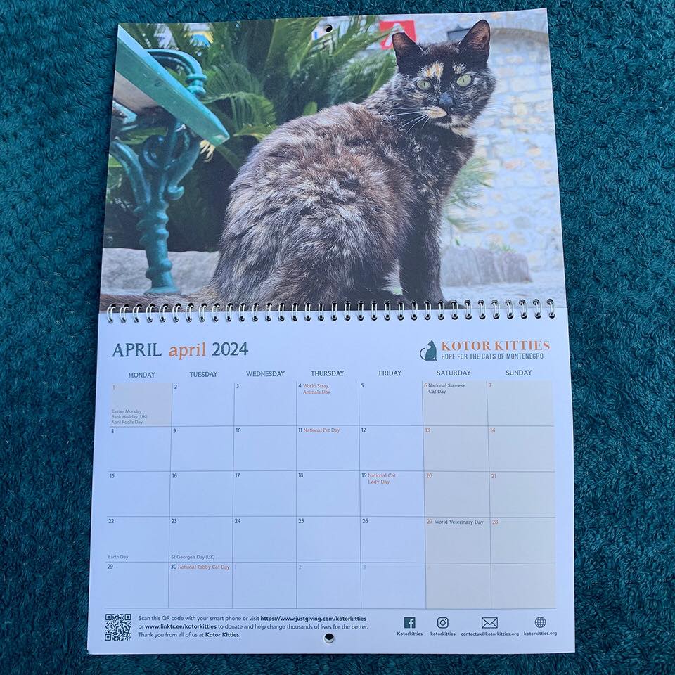Kotor Kitties 2024 Calendar 3 Kotor Kitties 2024 Calendar 3