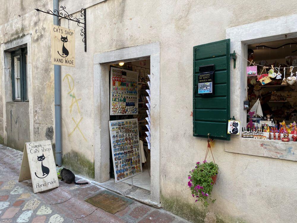 Danijela's cats shop Kotor Danijela's cats shop Kotor
