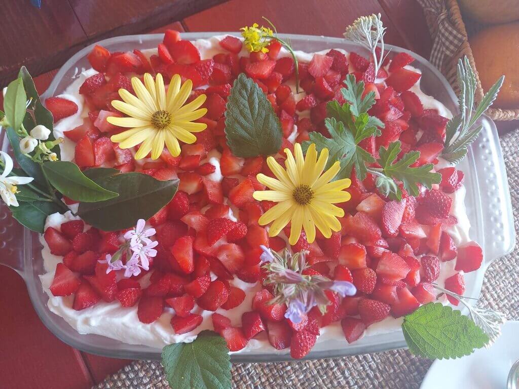 Lustica Peninsula Tour strawberry cake