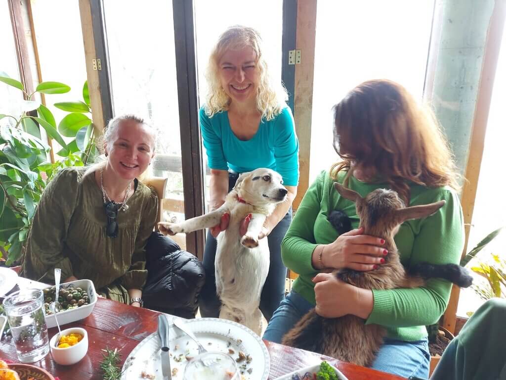 Guests with dog and goat on Lustica Peninsula Tour