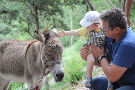 Find out what to see and do, where to sleep, where to eat and how to get to Budva, Montenegro's most popular seaside resort.