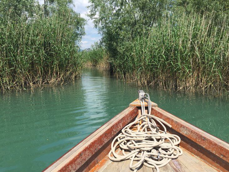 Best Skadar Lake Boat Tours