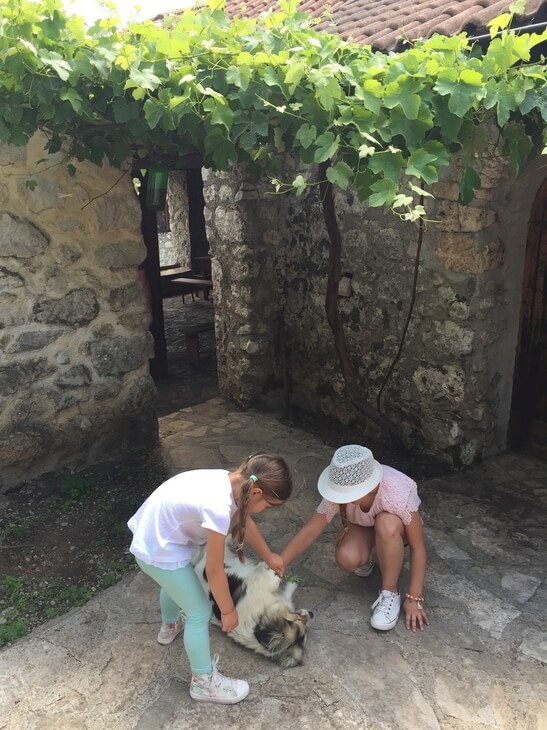 Best Skadar Lake Boat Tours