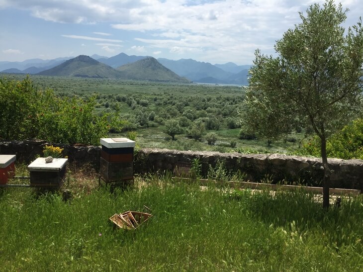 Lake Skadar National Park: Best Things to Do