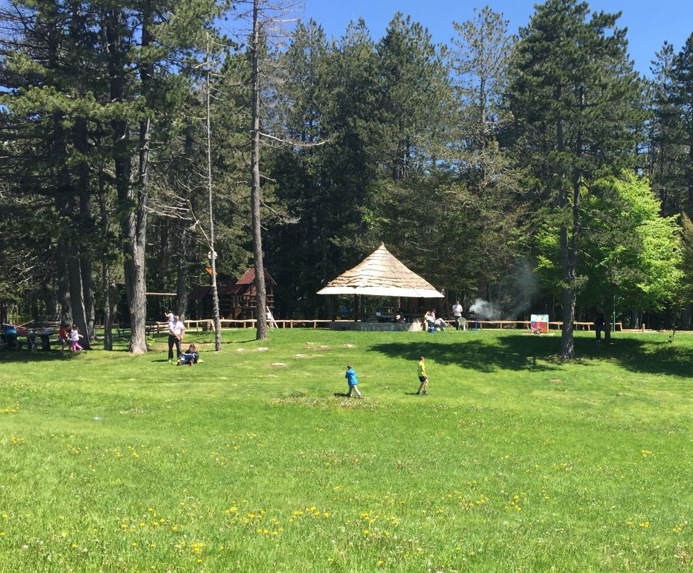 Lovćen National Park in Spring Lovćen National Park in Spring