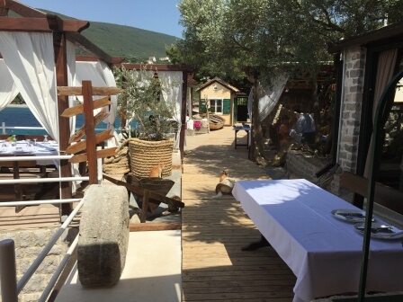 Ribarsko Selo Lustica Ribarsko Selo