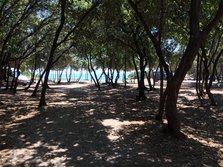 Kamp Begovic Lustica Kamp Begovic