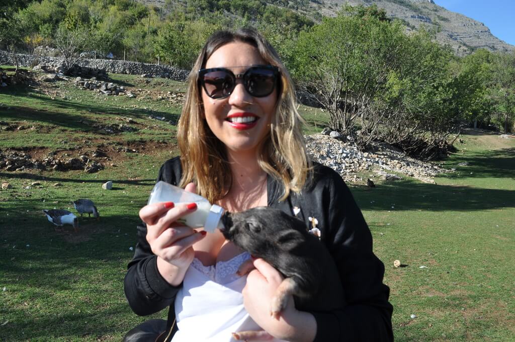 Bottle feeding piglet Montenegro Animal Sanctuary is one of Montenegro's top hidden gems and a great place for families.