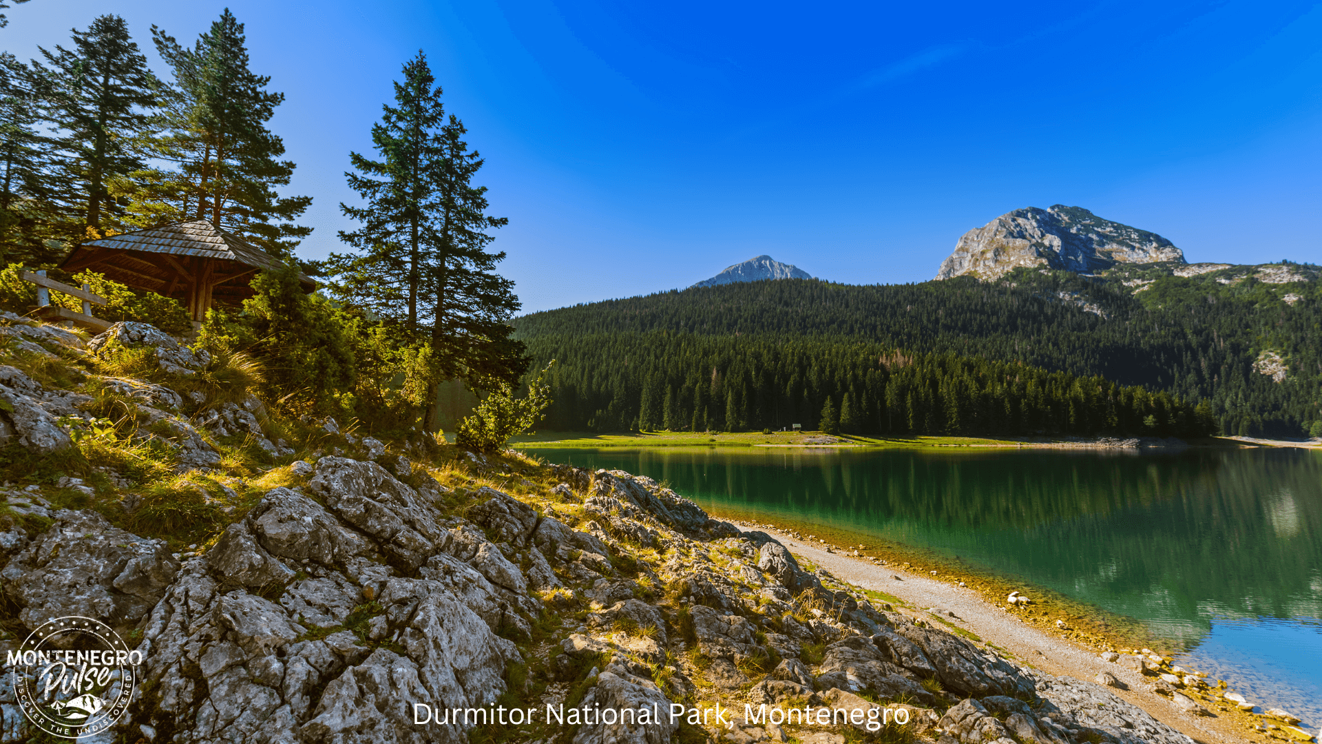 Scenic view of Durmitor National Park with lush green forests and mountains, Montenegro.