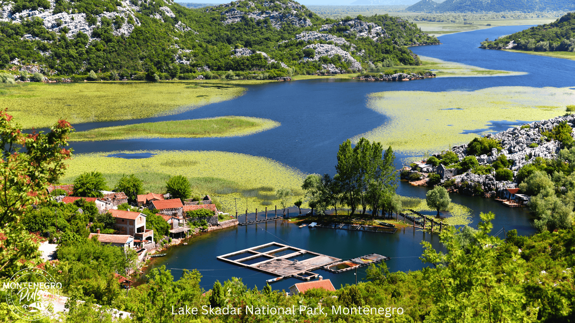 Scenic landscape of Lake Skadar National Park, featuring calm waters, floating lily pads, and traditional stone houses, Montenegro.