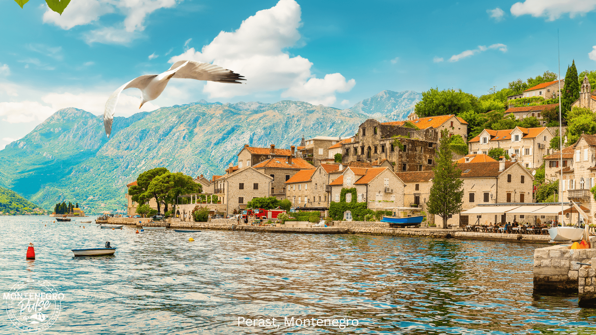 Perast's stunning coastline with traditional buildings, clear blue water, and mountains in the distance, Montenegro.