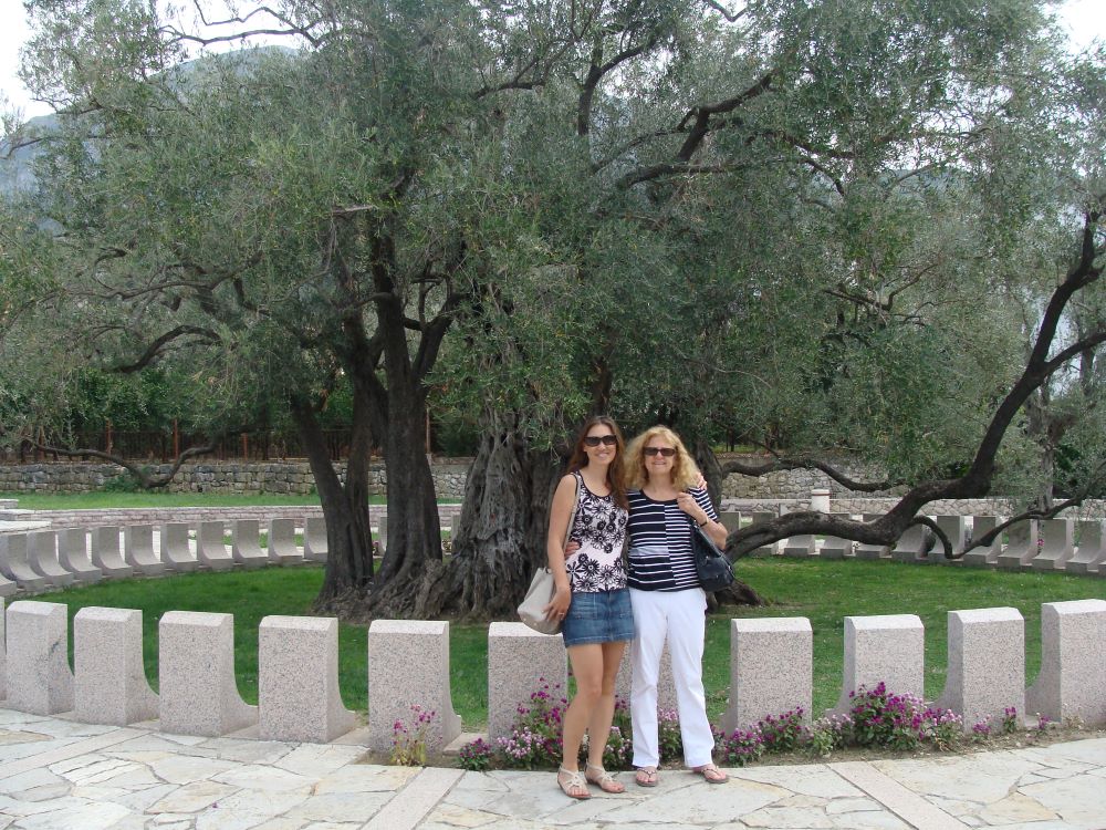 Stara Maslina Old Olive, Bar, Montenegro