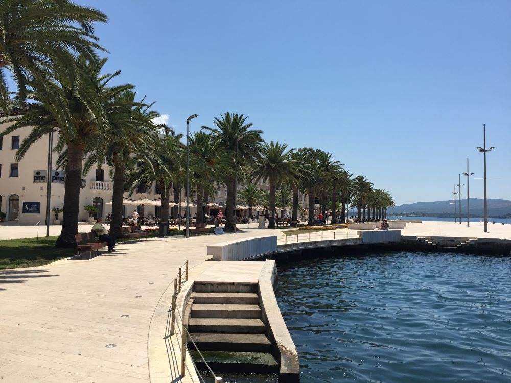Pine waterfront in Tivat, Montenegro Pine waterfront in Tivat, Montenegro