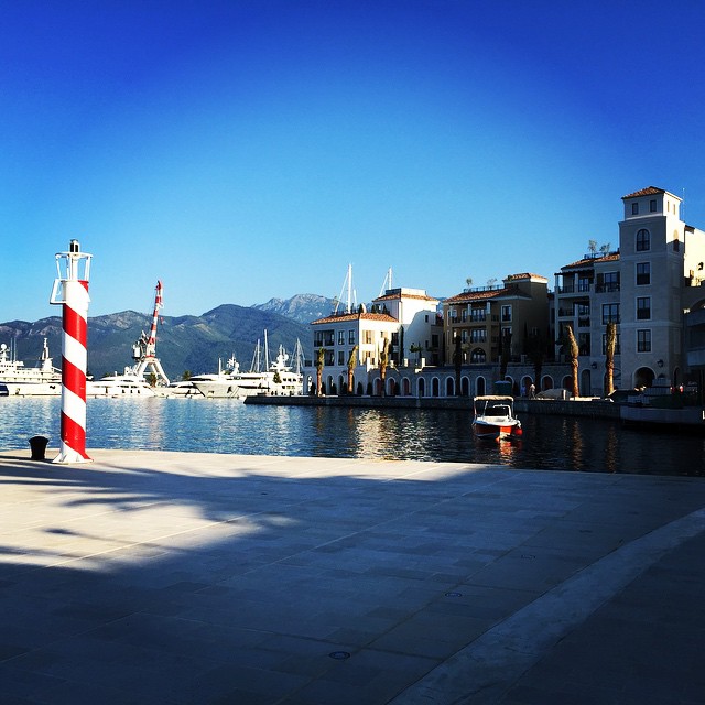 Pine in Tivat and Porto Montenegro Pine in Tivat and Porto Montenegro