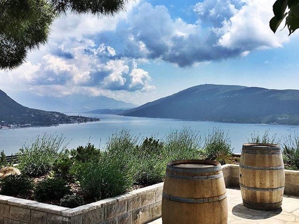 Winery in the Bay of Kotor, Montenegro Winery in the Bay of Kotor, Montenegro