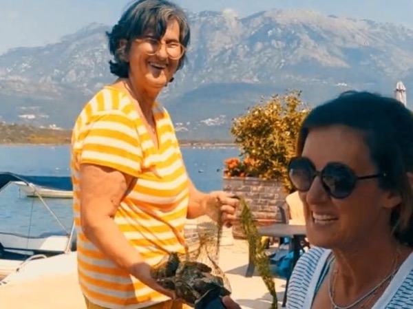 Bay of Kotor oyster farm Best Kotor Boat Tours