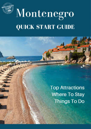 Montenegro Quick Start Guide