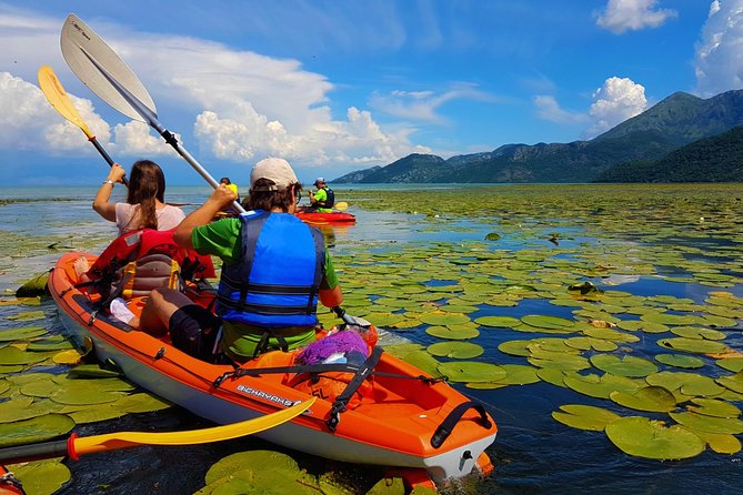 Lake Skadar Kayaking Lake Skadar National Park: Best Things to Do