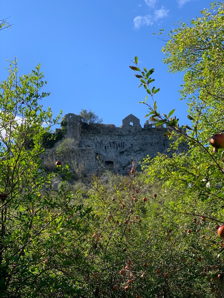 Discover the unique beauty and history of Montenegro’s medieval capital, Žabljak Crnojevića, just 20 minutes from Podgorica.