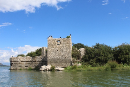 Best Skadar Lake Boat Tours