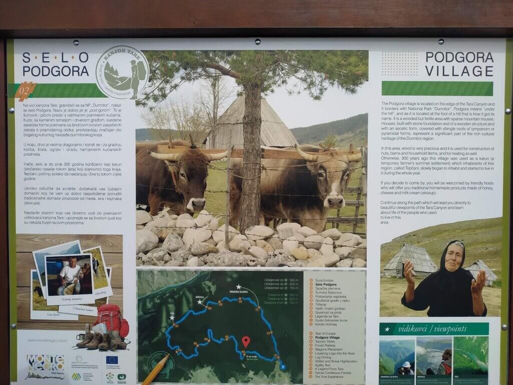 Information board in Podgora village Tara Canyon hike. Tara River Canyon – Best Places to See the Jewel of North Montenegro