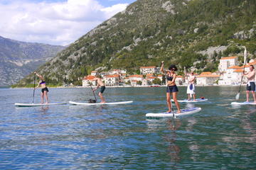 Remarkable, kotor nudist beaches opinion you Share kotor nudist beaches